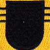 509th Airborne Infantry Regiment 3rd Battalion Patch Flash | Center Detail