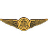 Gold embroidered Naval Aircrew AIC wings patch showing spread Navy wings flanking a central disc with fouled anchor and AIC rating letters, merrowed border, 4 inches wide.