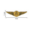 Naval Aircrew Patch | Size Detail