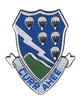 506th Airborne Infantry Regiment Patch Currahee