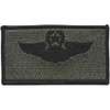 Wings patch with wreath and star insignia in black and olive drab colors.