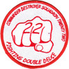 COMDESRON 22 Commander Destroyer Squadron Patch