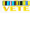 Bosnia Veteran Ribbon Patch | Lower Left Quadrant