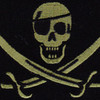 Color Seal OIF OEF One Eye Calico Jack Pirate Patch Acu | Center Detail