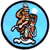 9th Air Refueling Squadron Patch