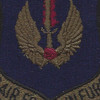 Air Force In Europe Command OD Patch | Center Detail