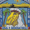 USS Roosevelt CVN-71 Persian Gulf 95 Patch | Center Detail
