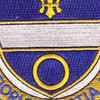 365th Infantry Regiment Patch | Center Detail