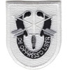 Special Forces Group Training Flash Patch With Crest