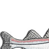 Snook Fish Patch | Upper Left Quadrant