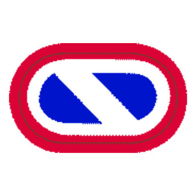 1st Support Command US Army Patch