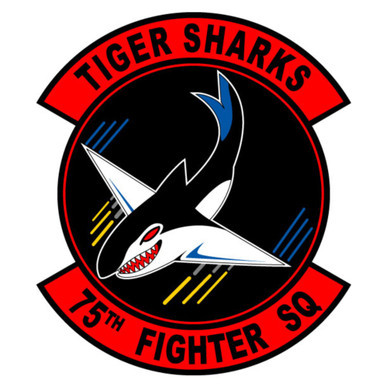 75th Fighter Squadron Patch