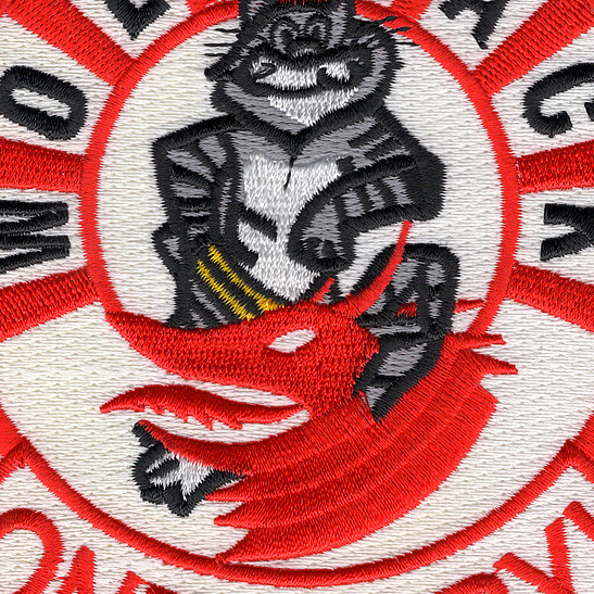 VF1 F14 Tomcat Patch Wolfpack One, Baby Squadron Patches Navy