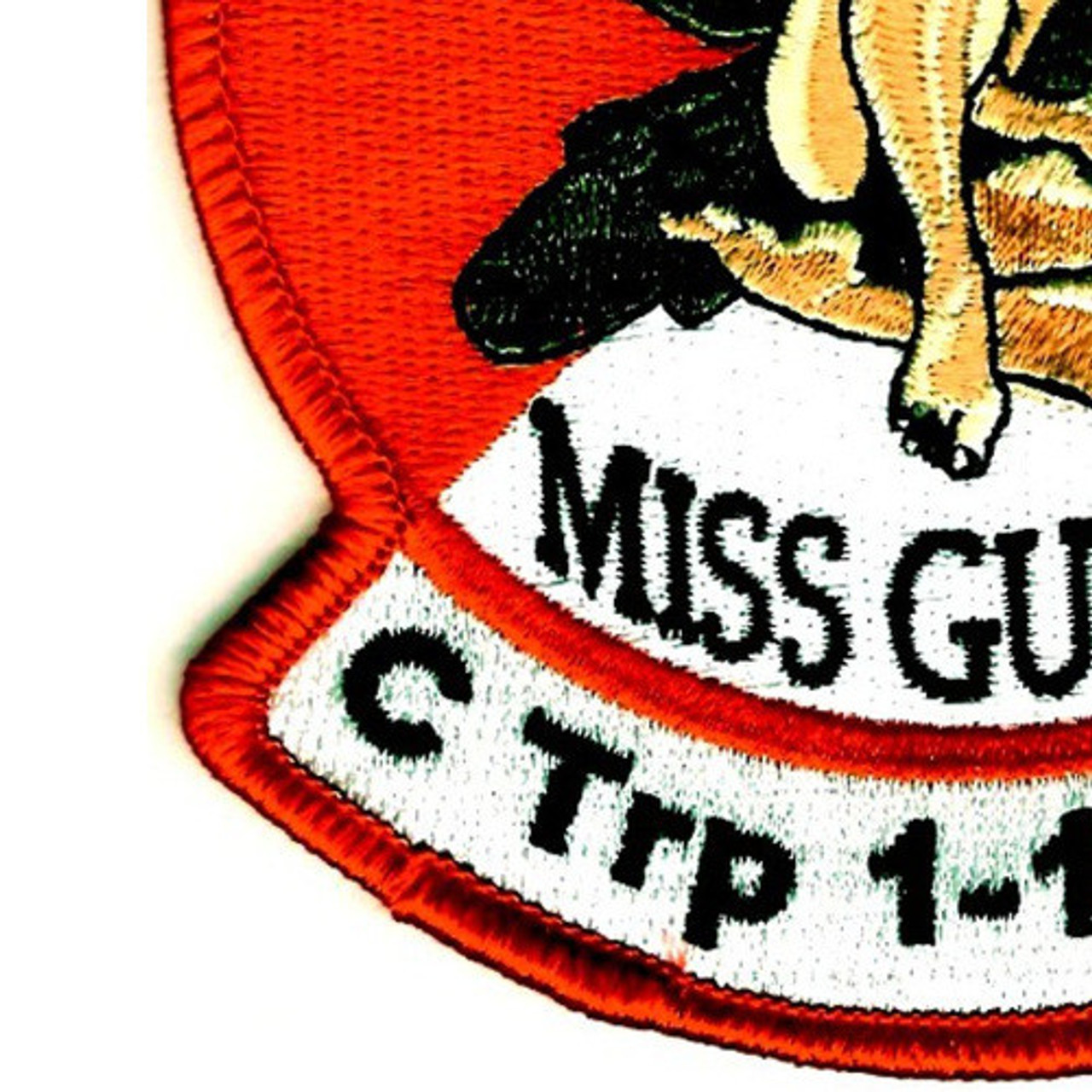 1st squadron 17th cavalry regiment