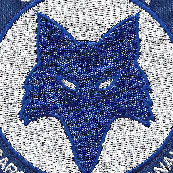 169th Fighter Wing Patch | Squadron Patches | Air Force Patches