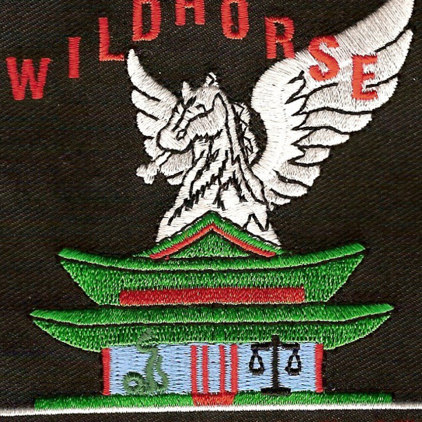 160th Special Operations US Army Aviation Regiment Patch