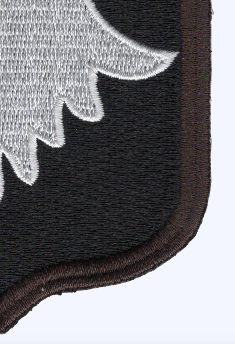 Army's 101st 'Screaming Eagles' Voted Best Unit In Social Media Faceoff - Foto 2