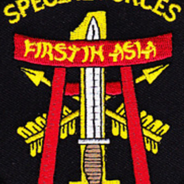 米軍　スカル刺繍パッチ ODA122 DRAGO特殊部隊 ODA-122 Patch - Version A | Special Forces Patches | Army Patches
