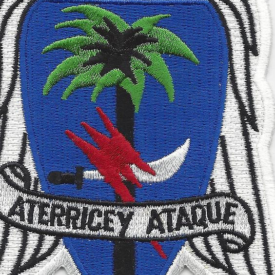 551st Parachute Infantry Regiment Patch | Infantry Patches | Army
