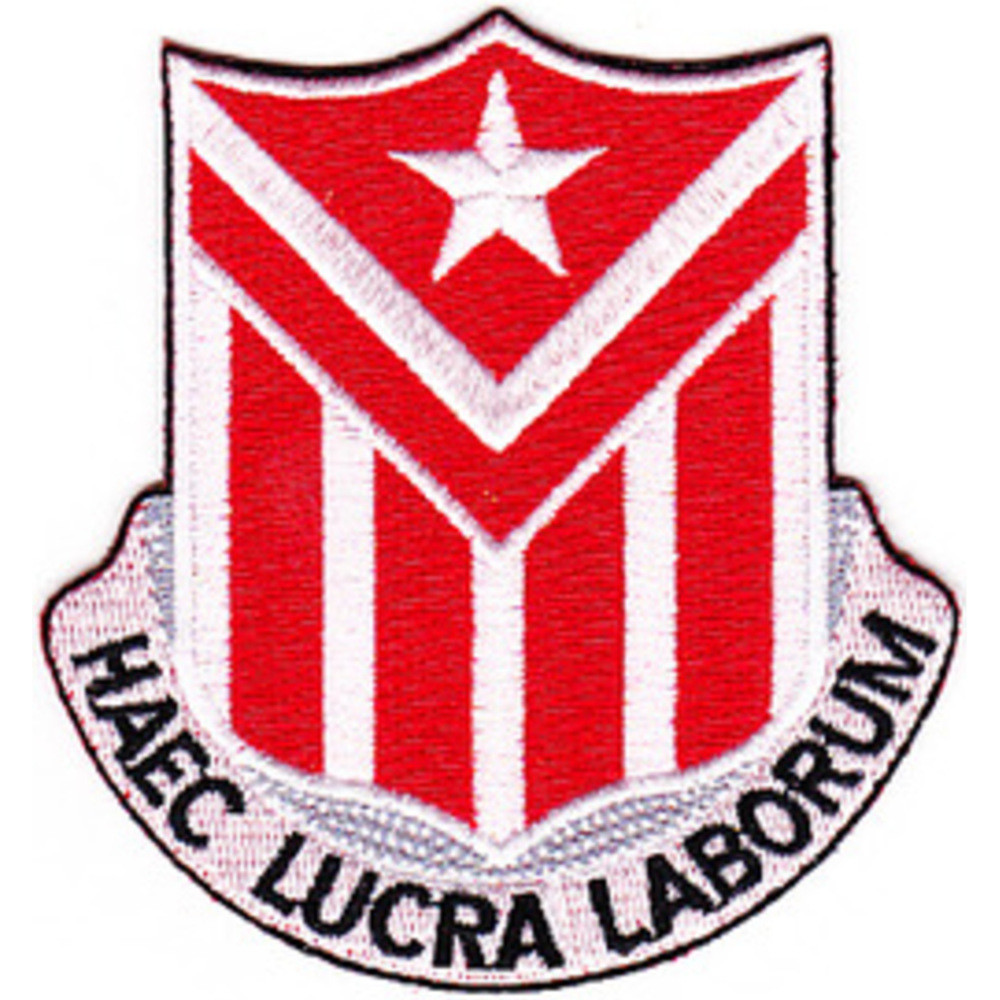 554th Engineer Battalion Patch | Engineer Patches | Army Patches