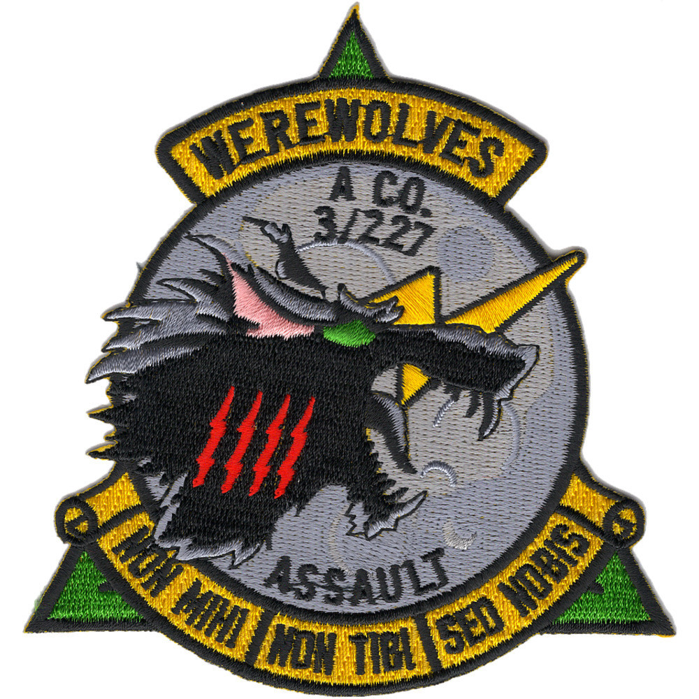 A Company 3rd Battalion 227th Aviation Assault Regiment WEREWOLVES ...