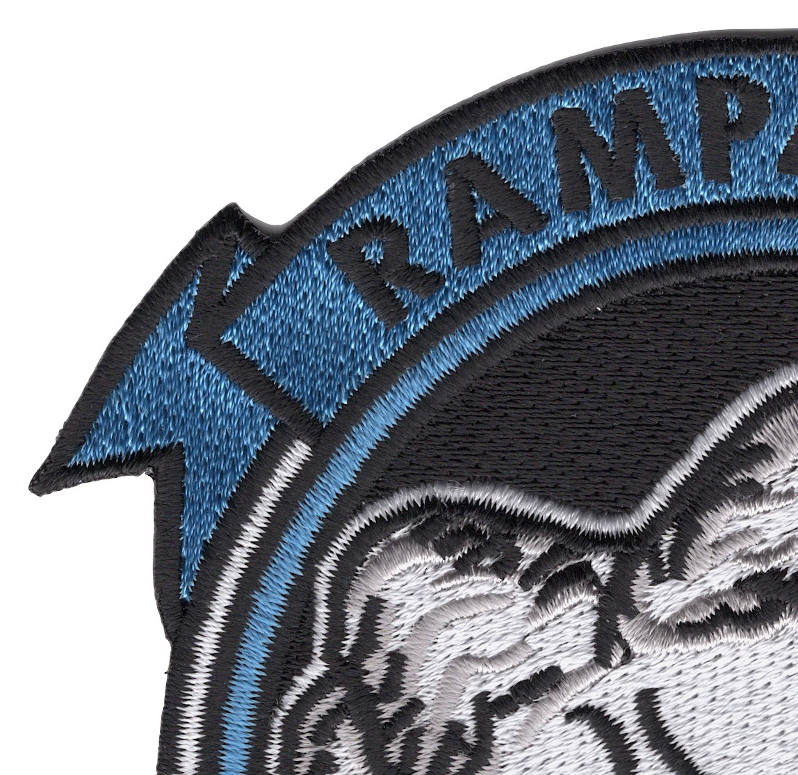 FIGHTER STRIKE 3rd N.F.F. SQ. パッチ s-l400.jpg