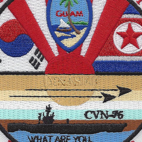 VAQ-132 Electronic Attack Squadron Pacom 2015 Patch | Squadron