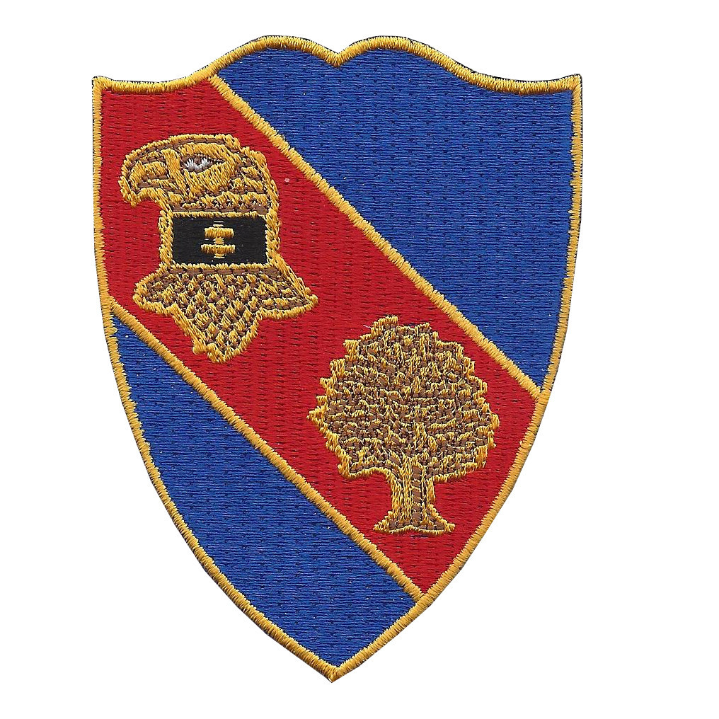 354 Patch 354th Infantry Regiment Patch | Infantry Patches | Army Patches ...