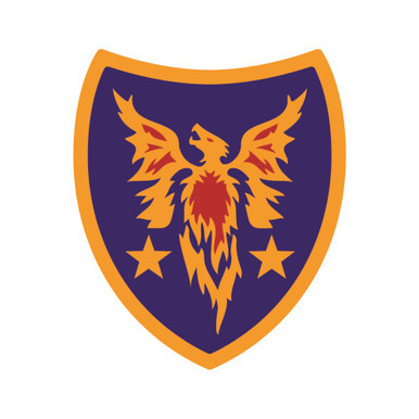 US ARMY RESERVE COMMAND PATCH visual data 4