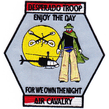 1st Battalion 1st Aviation Cavalry Regiment D Company Patch