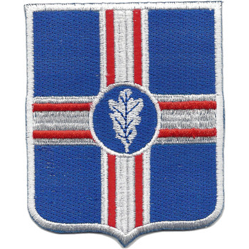 190th Airborne Glider Infantry Regiment Patch