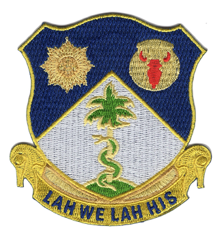 134th Infantry Regiment Patch