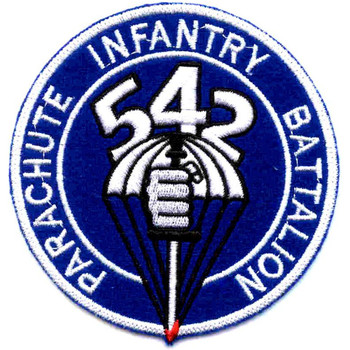 542nd Parachute Infantry Battalion Patch