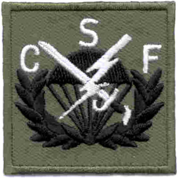 506th Airborne Infantry Regiment Patch CSF