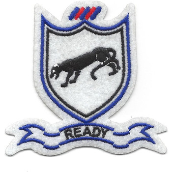 505th Airborne Infantry Regiment Patch Ready