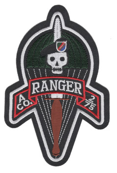 167 Inf Det LRS Airborne Ranger 35 Div NEBARNG patch D 