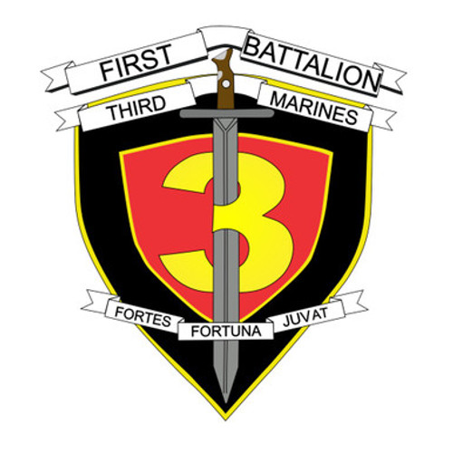 3rd Marine Regiment 1st Battalion 3rd Marines USMC Patch
