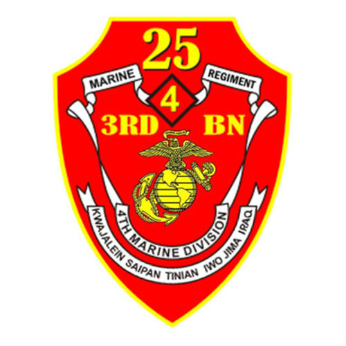 25th Marine Regiment 3rd Battalion 25th Marines USMC Patch