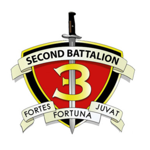 3rd Marine Regiment 2nd Battalion 3rd Marines USMC Patch
