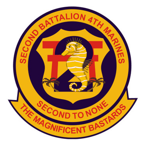 4th Marine Regiment 2nd Battalion 4th Marines USMC Patch