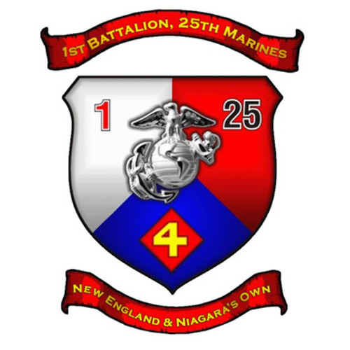 25th Marine Regiment 1st Battalion 25th Marines USMC Patch