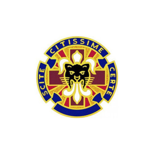13th US Army Combat Support Hospital Patch