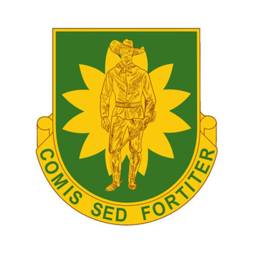 304th US Army Military Police Battalion Patch