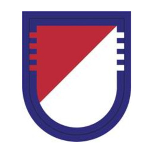 4 Squadron 73 Cavalry Regiment  US Army Patch