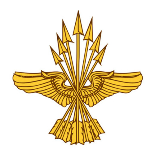 Insular Affairs Branch Insignia US Army Patch
