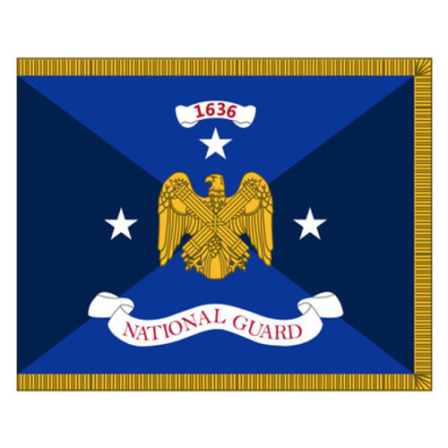 Office of the Vice Chief National Guard Bureau Positional Colors US Army Patch