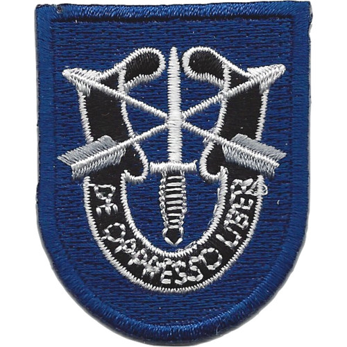 19th Special Forces Group With Crest Flash Patch