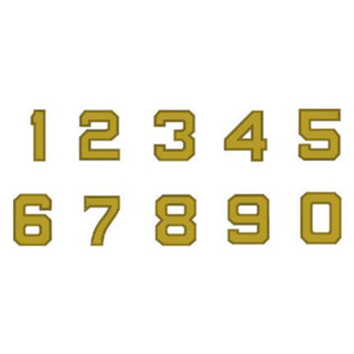Numerals Service Ribbon Accoutrements US Army Patch