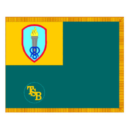 Training Support Bn Soldier Support Institute Flag US Army Patch