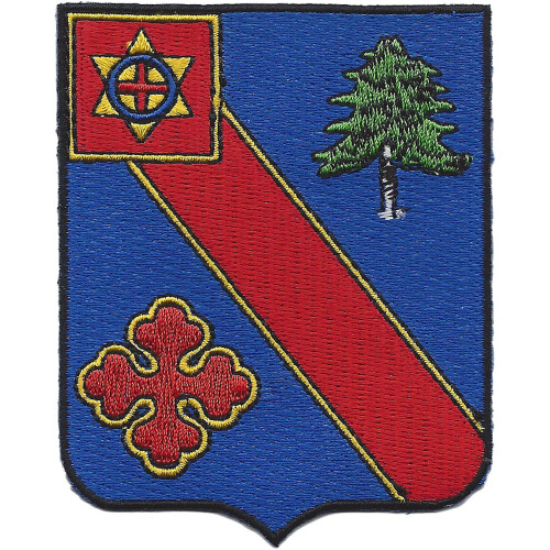 220th Infantry Regiment Patch